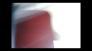 হারলে হেজ