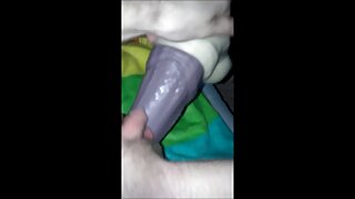 কলেজ অপেশাদার