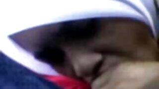 সার্বভৌম সাইর