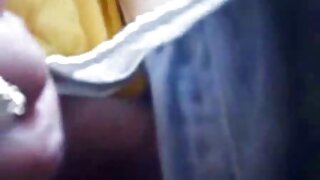 লেলা স্টার