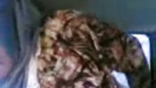 চাটা আর্দ্রতা
