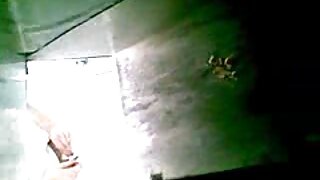 পালঙ্ক উপর উড়িয়ে