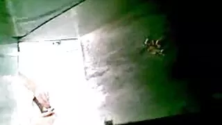 পরিণত, পুরুষ বাসর রাত সেক্স ভিডিও সমকামী