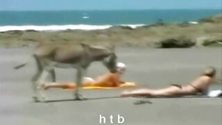 ন্যান্সি ফ্লো