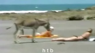 হ্যালোয়েন বাংলা চোদাচুূদি